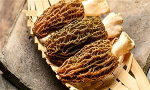 中国家政发展状况 家政行业发展现状趋势分析九游体育官方(图11)