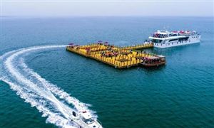 中国家政发展状况 家政行业发展现状趋势分析九游体育官方(图10)