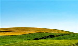 家政服务市场现状分析及发九游体育展前景预测 未来有望迎来高速发展阶段(图2)