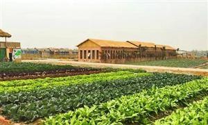 家政服务市场现状分析及发九游体育展前景预测 未来有望迎来高速发展阶段(图6)