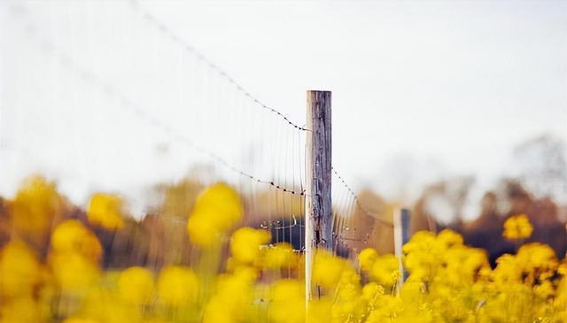 俗语：老人长寿克九游体育子孙老祖宗的忠告话虽不好听但很现实(图1)