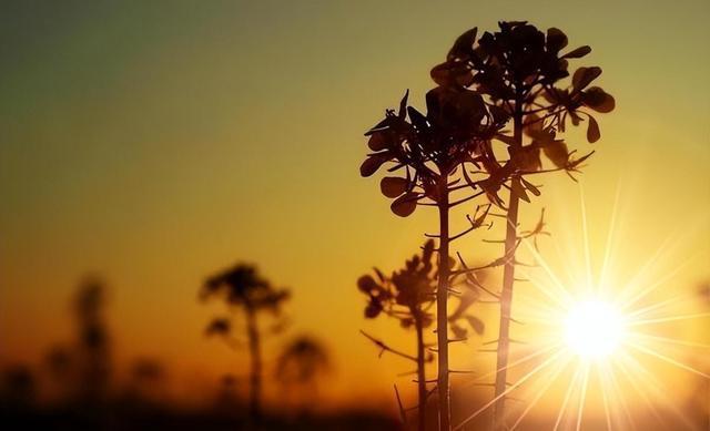 俗语：老人长寿克九游体育子孙老祖宗的忠告话虽不好听但很现实(图3)
