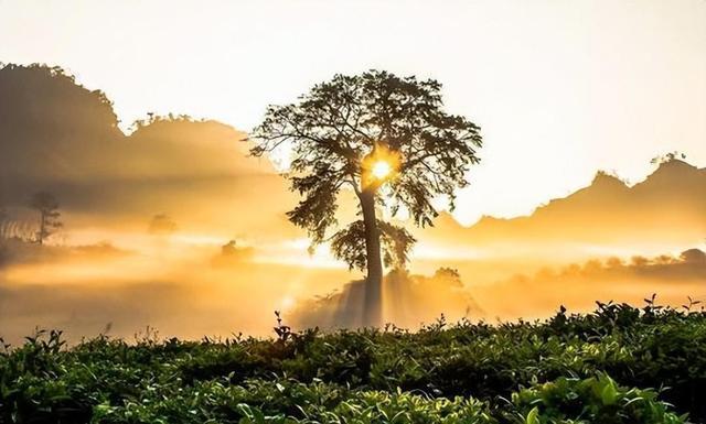 俗语：老人长寿克九游体育子孙老祖宗的忠告话虽不好听但很现实(图2)