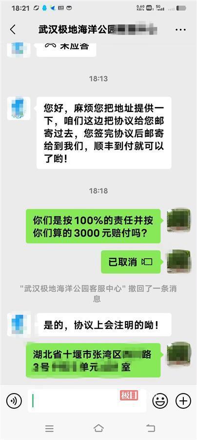 九游体育极目帮办|两只巨嘴鸟打架意外抓伤九旬老人极地海洋公园承诺赔偿3000元医疗费(图4)