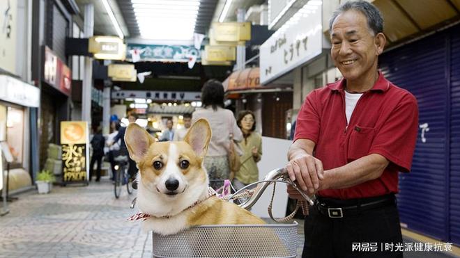 九游体育中老年人是完美主人？东京研究：养宠物的老年人护理费省一半！(图1)